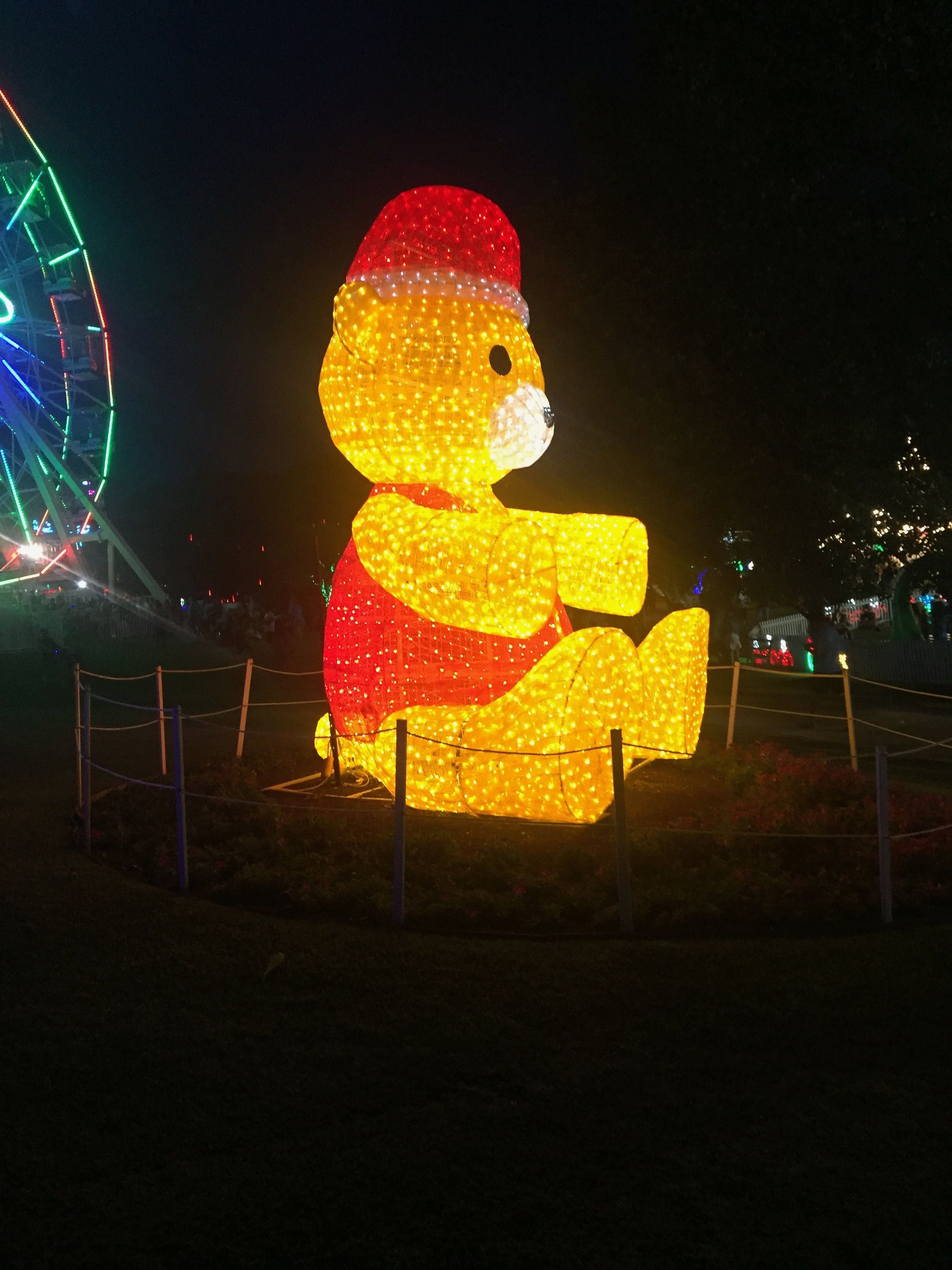 Hunter Valley Christmas Lights Spectacular Image -5b3abbc21fb52